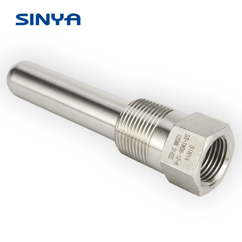 Manufacturer of Gauge Accessories Threaded Thermowell Supplier 316 Ss Temperature Deep Well